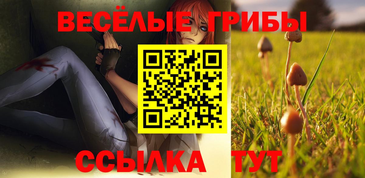 Псилоцибиновые грибы мухоморы Улан-Удэ